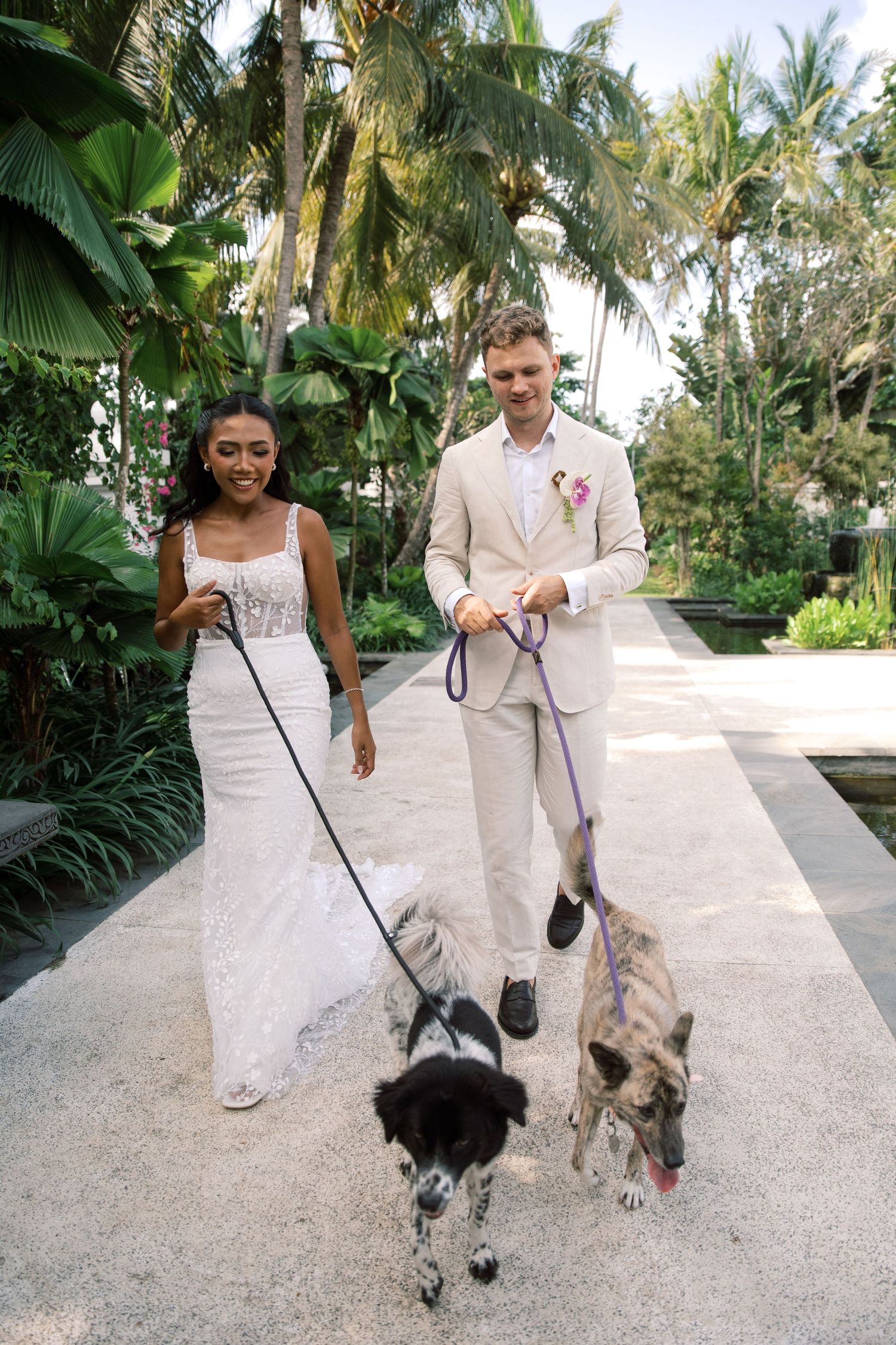 Bride and groom walking two dogs on leashes along a tropical garden path on their wedding day.