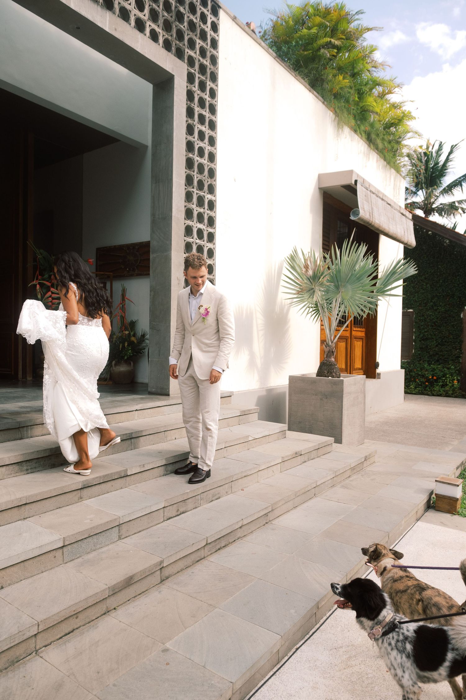 Couple in white wedding attire on modern stone steps with two dogs outside an elegant venue.