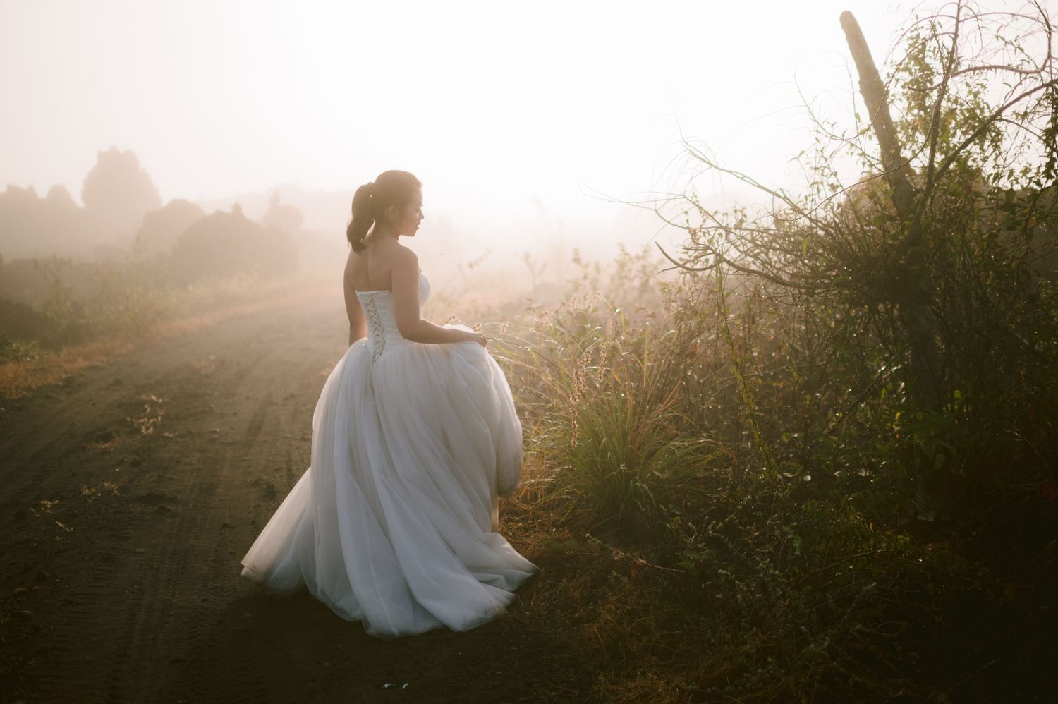 Bride in elegant white tulle gown standing on misty rural path surrounded by golden morning light and lush greenery.