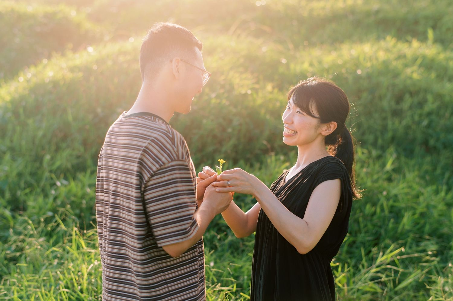 Couple holding a small plant together in a sunlit green field, sharing a tender romantic moment outdoors.