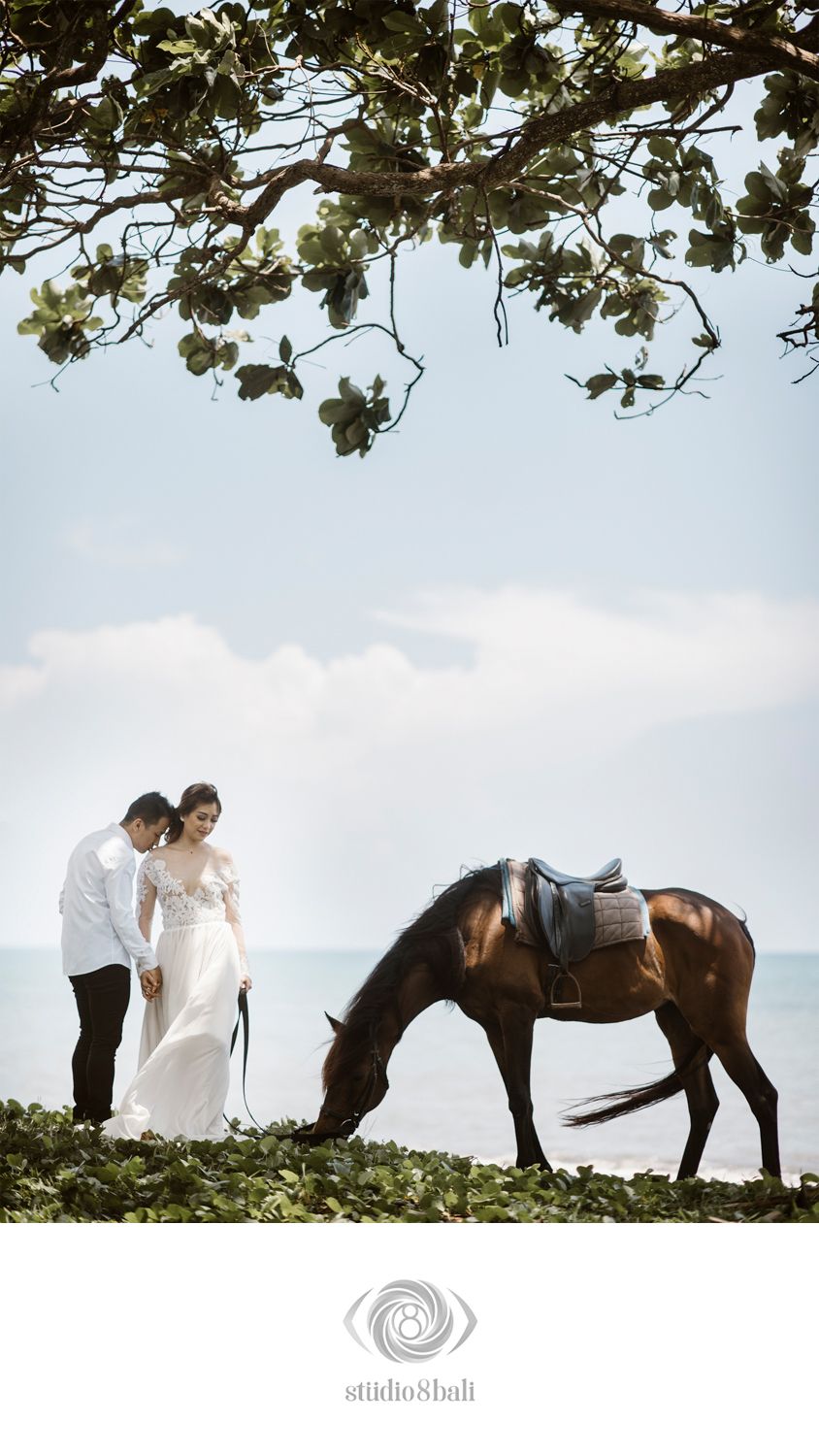 Couple in wedding attire stand under tropical tree while brown horse grazes near ocean shore.