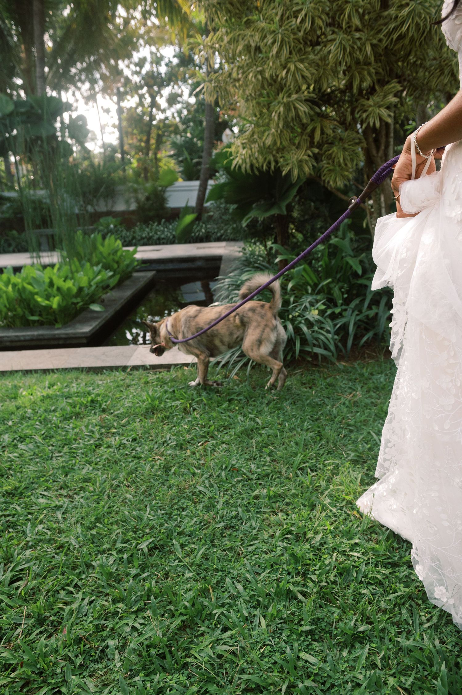 Bride in white wedding dress holding a leash with a small brown dog on green grass in a lush garden.
