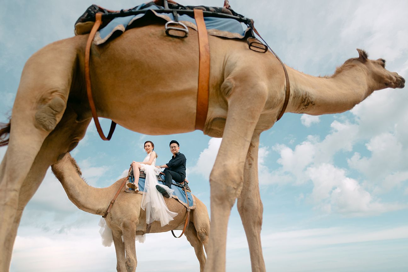 Couple in wedding attire riding a camel against a blue sky backdrop in a romantic desert photoshoot.