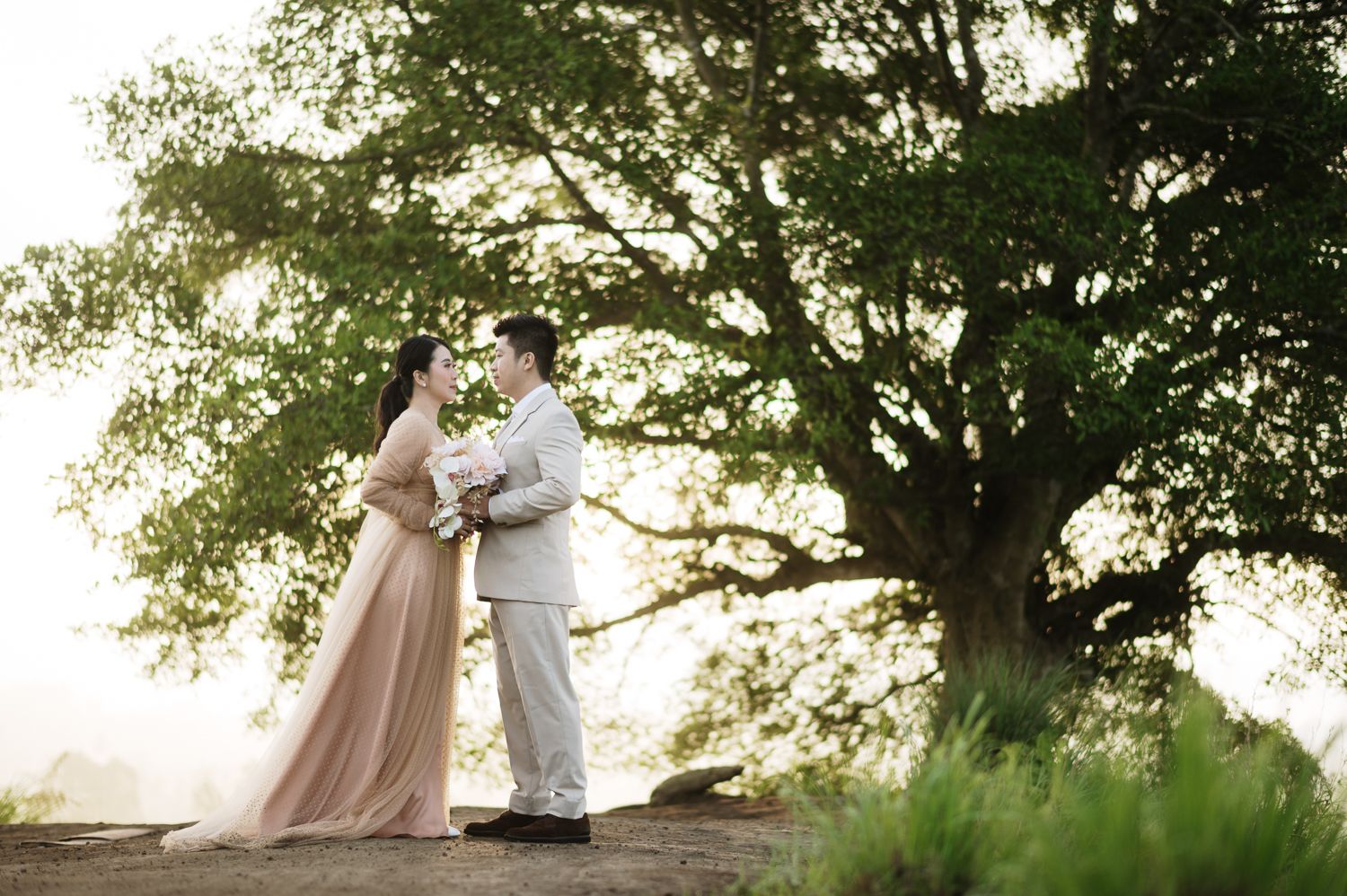 A couple in wedding attire stands romantically beneath a large tree in a misty outdoor setting.
