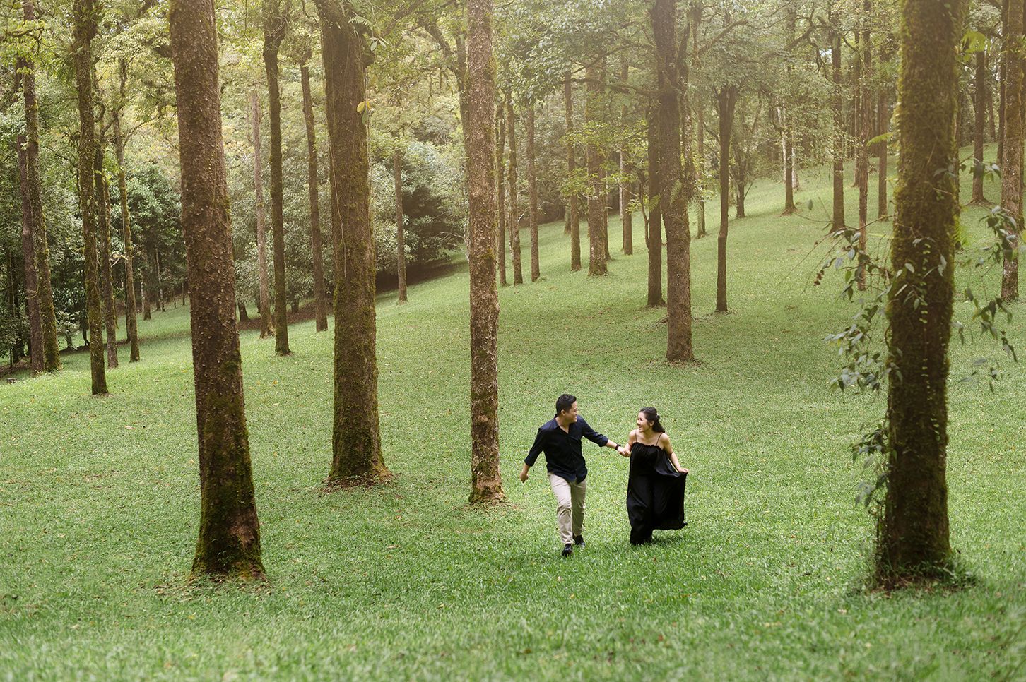 Couple holding hands walking through a sunlit forest with tall trees and lush green grass.