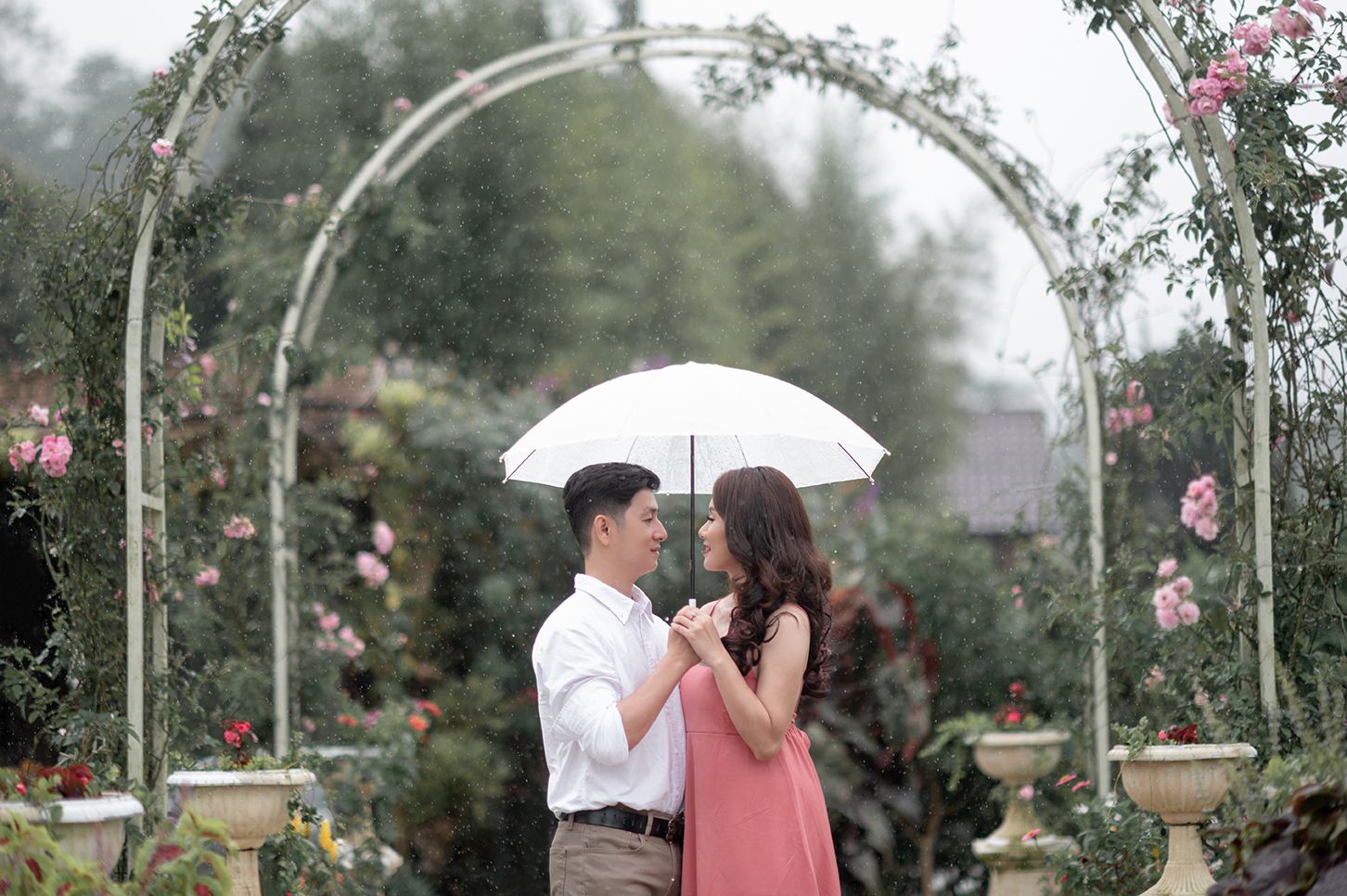 Romantic couple sharing a white umbrella in a rose garden archway on a rainy day.