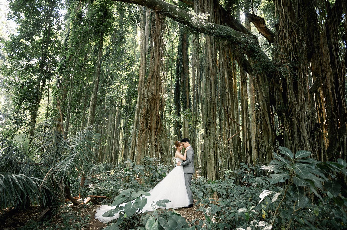 Bride and groom embracing in a lush tropical forest surrounded by towering banyan trees and green foliage.
