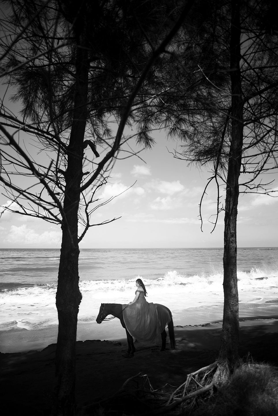 Black and white photo of a woman in a flowing gown riding a horse on a beach between tall trees.