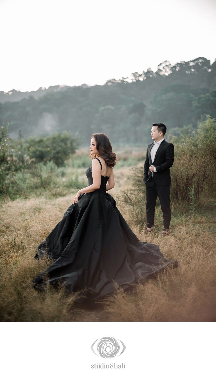 A couple poses in a misty field, woman in elegant black ball gown, man in suit, surrounded by golden grass and trees.