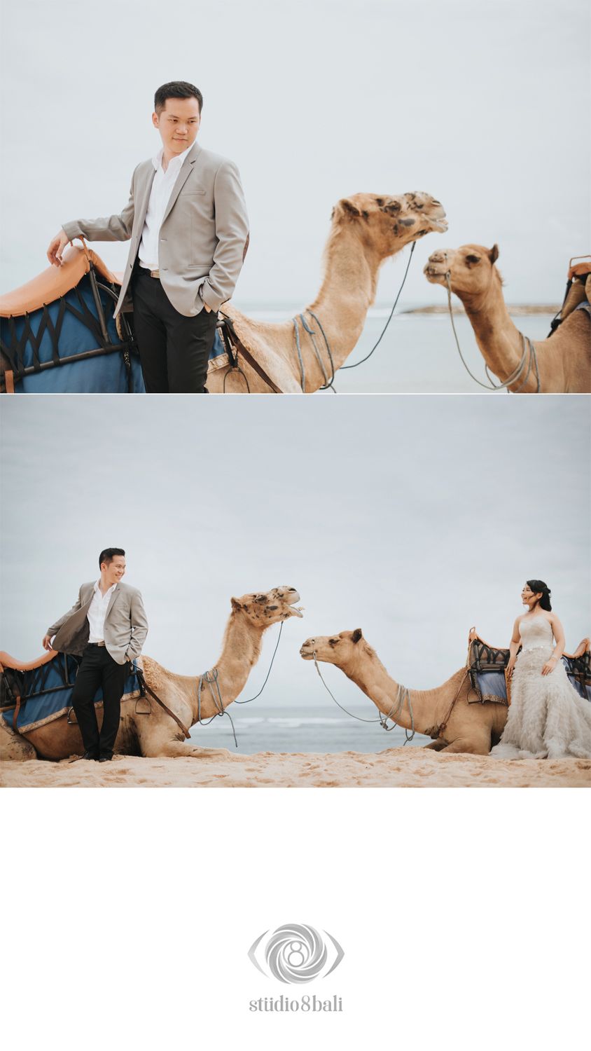 Couple poses with camels on sandy beach for pre-wedding photos by Studio 8 Bali photography.