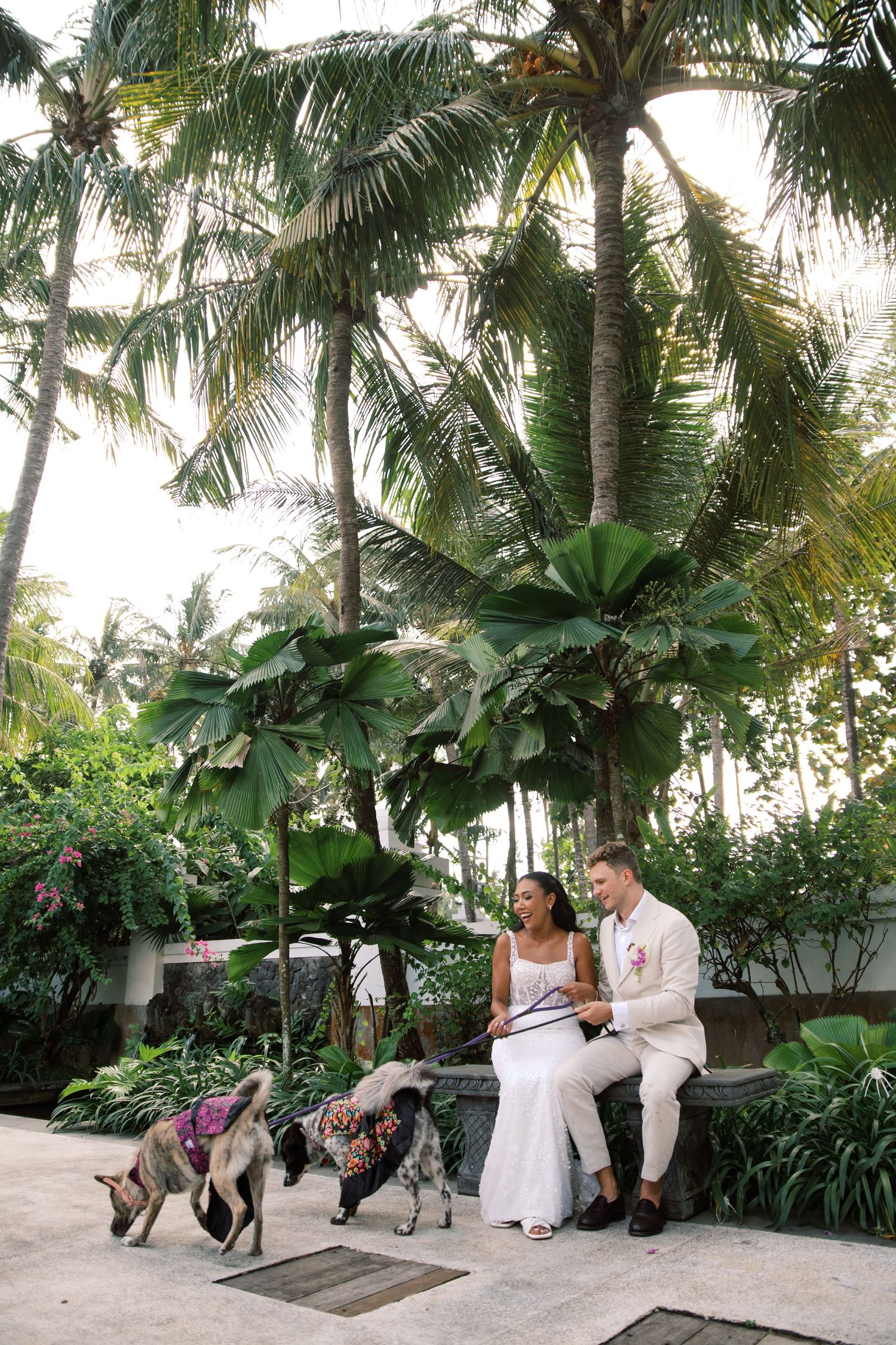 Bride and groom sit on stone bench with dogs in lush tropical garden during Bali wedding.