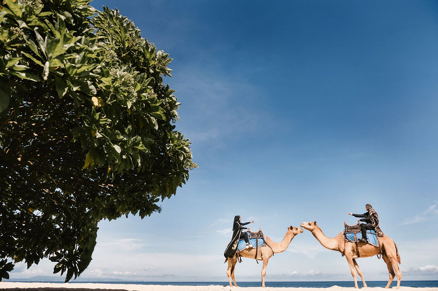 Two riders on camels stand on a sunny beach beside a large tropical tree with a clear blue sky backdrop.