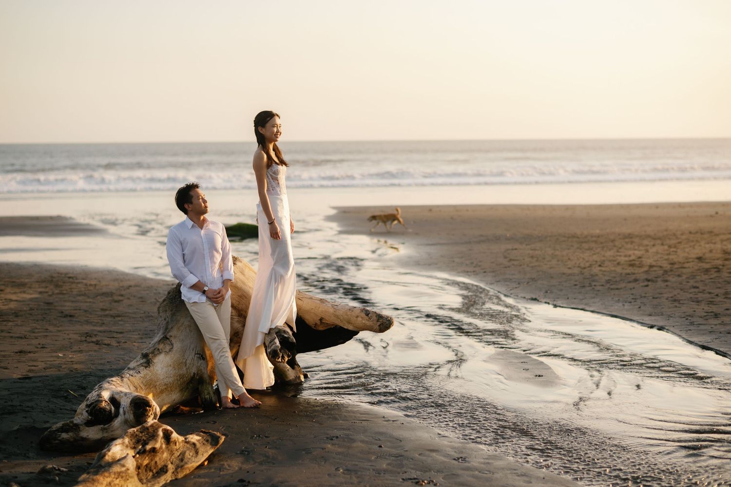 Couple in white attire sitting on driftwood at sunset beach with a dog in the background.