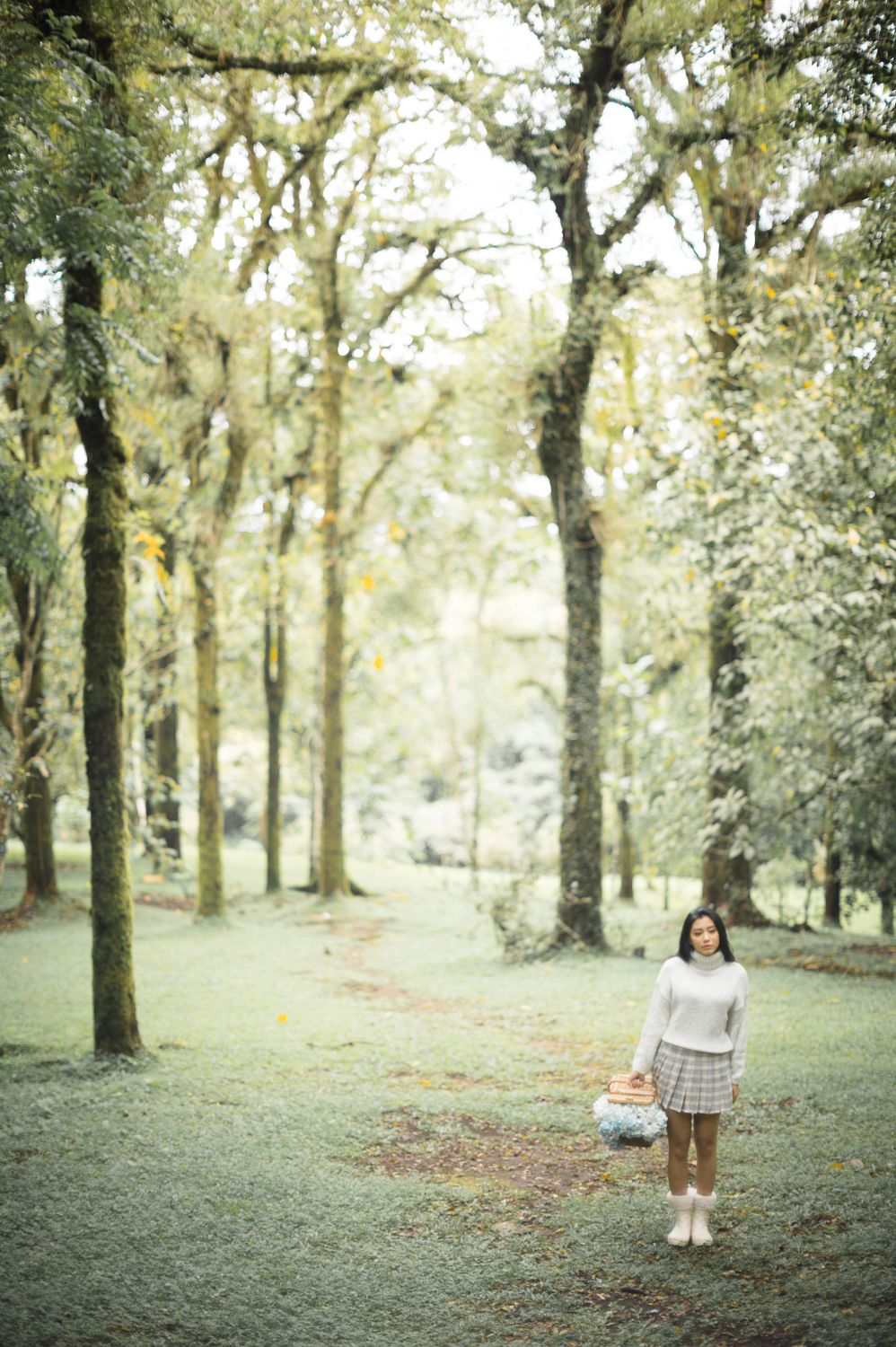 A young woman in a plaid skirt holds a basket while standing on a serene forest path surrounded by tall trees.