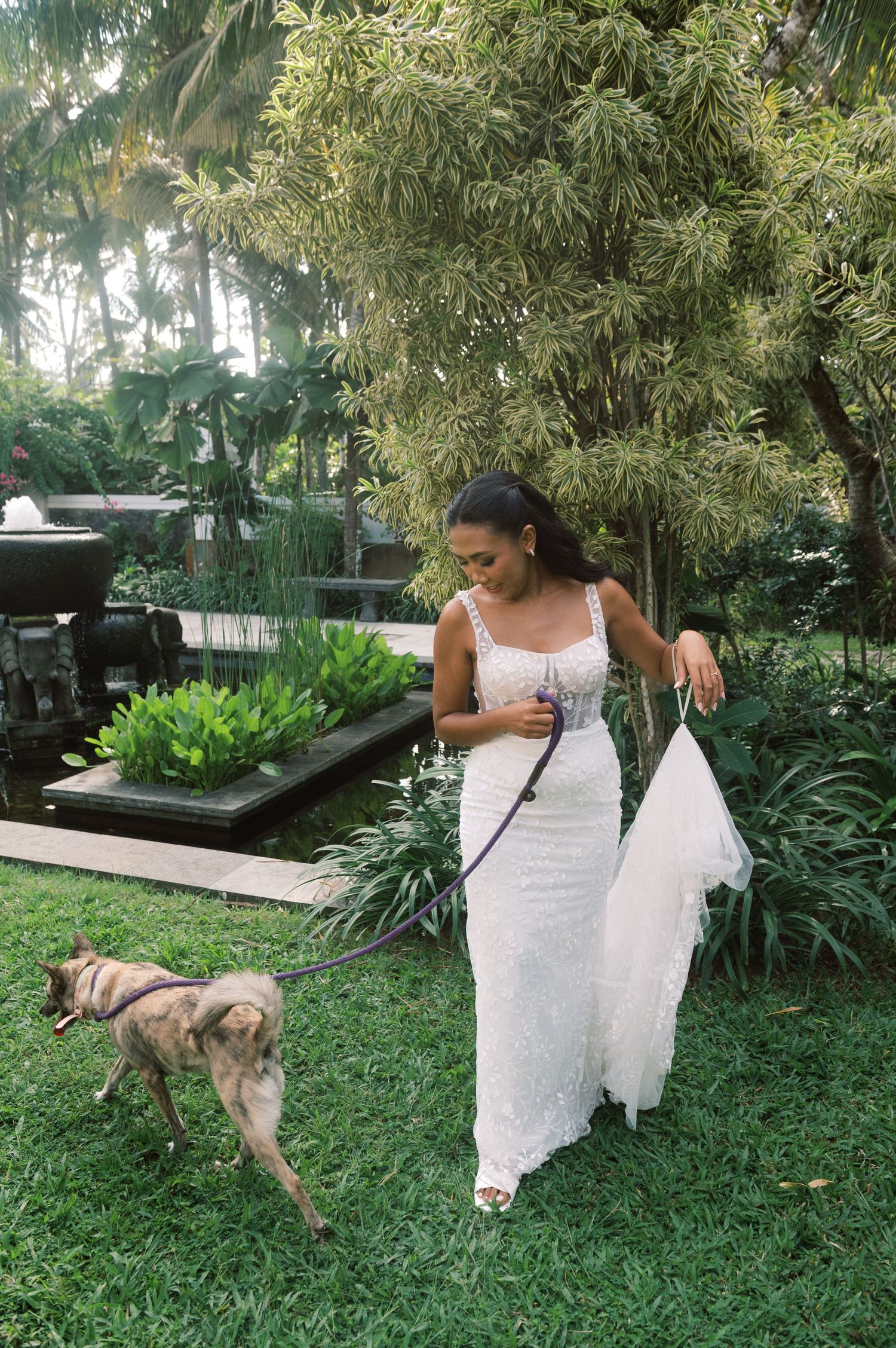 Bride in white lace gown holding bouquet while walking small dog on leash in tropical garden.
