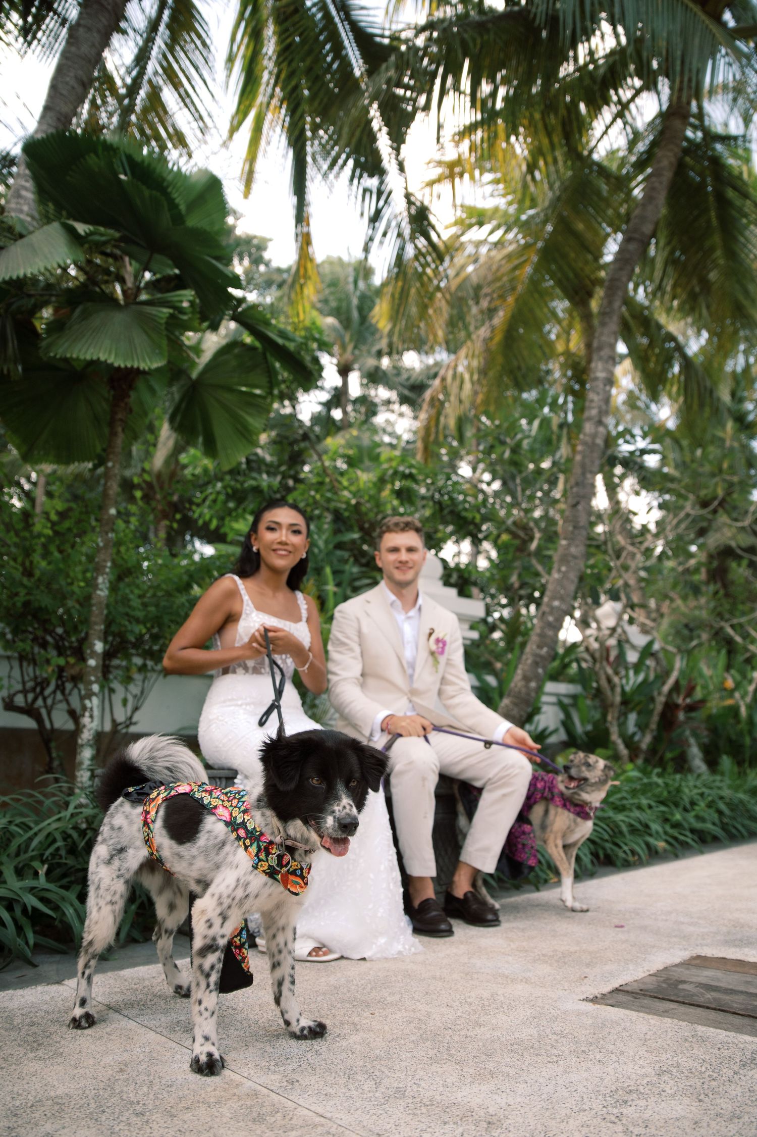 Bride and groom pose with two decorated dogs in a tropical garden setting during their destination wedding.