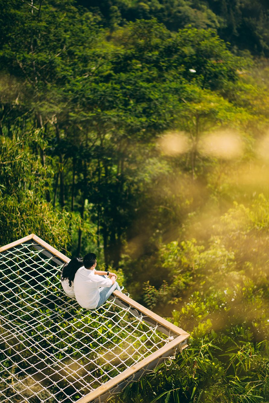 Person sitting on a rope net platform overlooking a lush green tropical forest in warm sunlight.