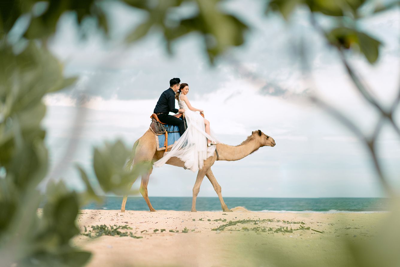 Couple in wedding attire riding a camel on a sandy beach with ocean views and lush green foliage framing the scene.
