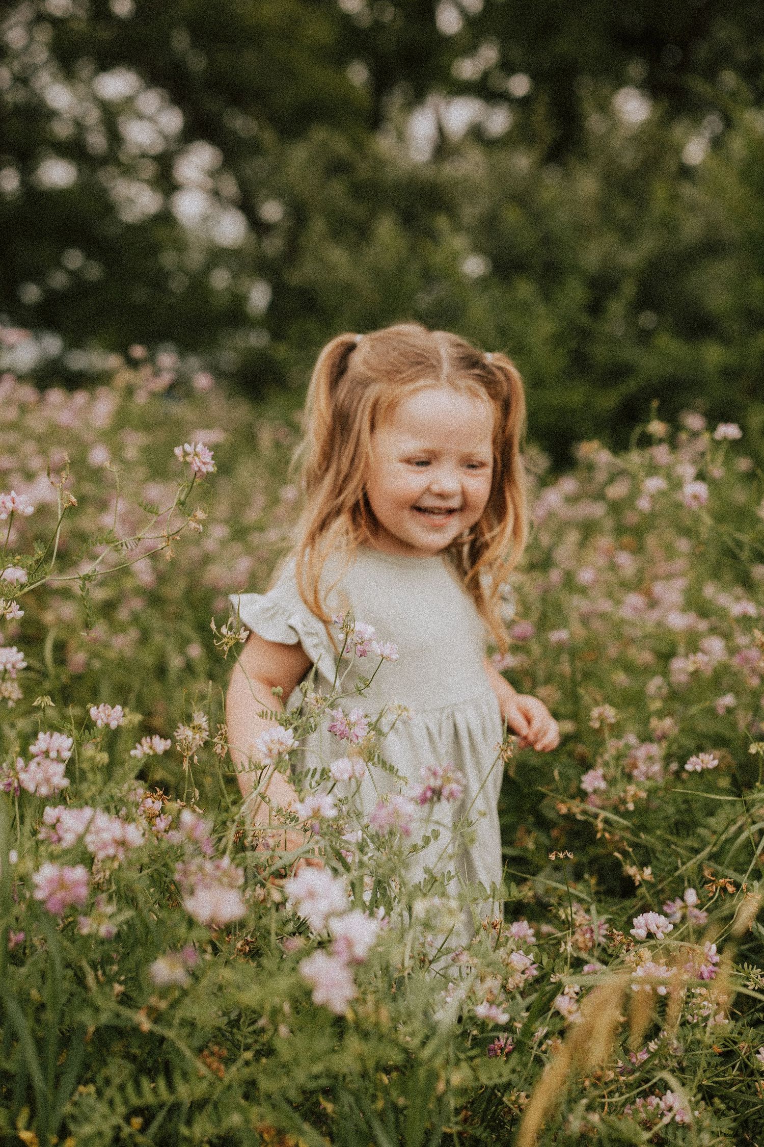 Flower Field