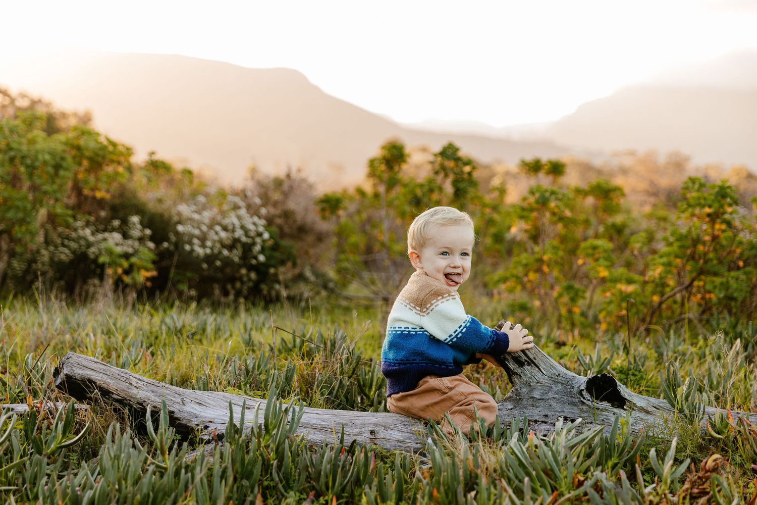 Happy toddler boy sitting on a log in a grassy field with mountains in the background at sunset.