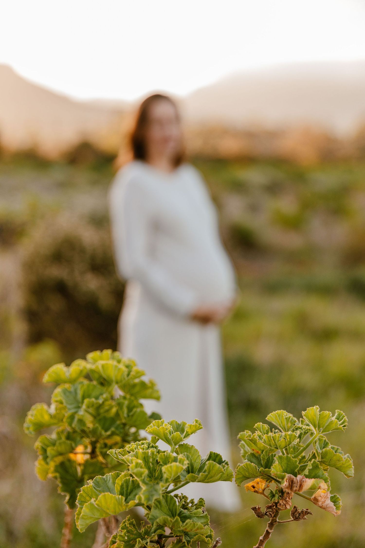 Pregnant woman in white dress standing in a field at golden hour, with green plants in the foreground.