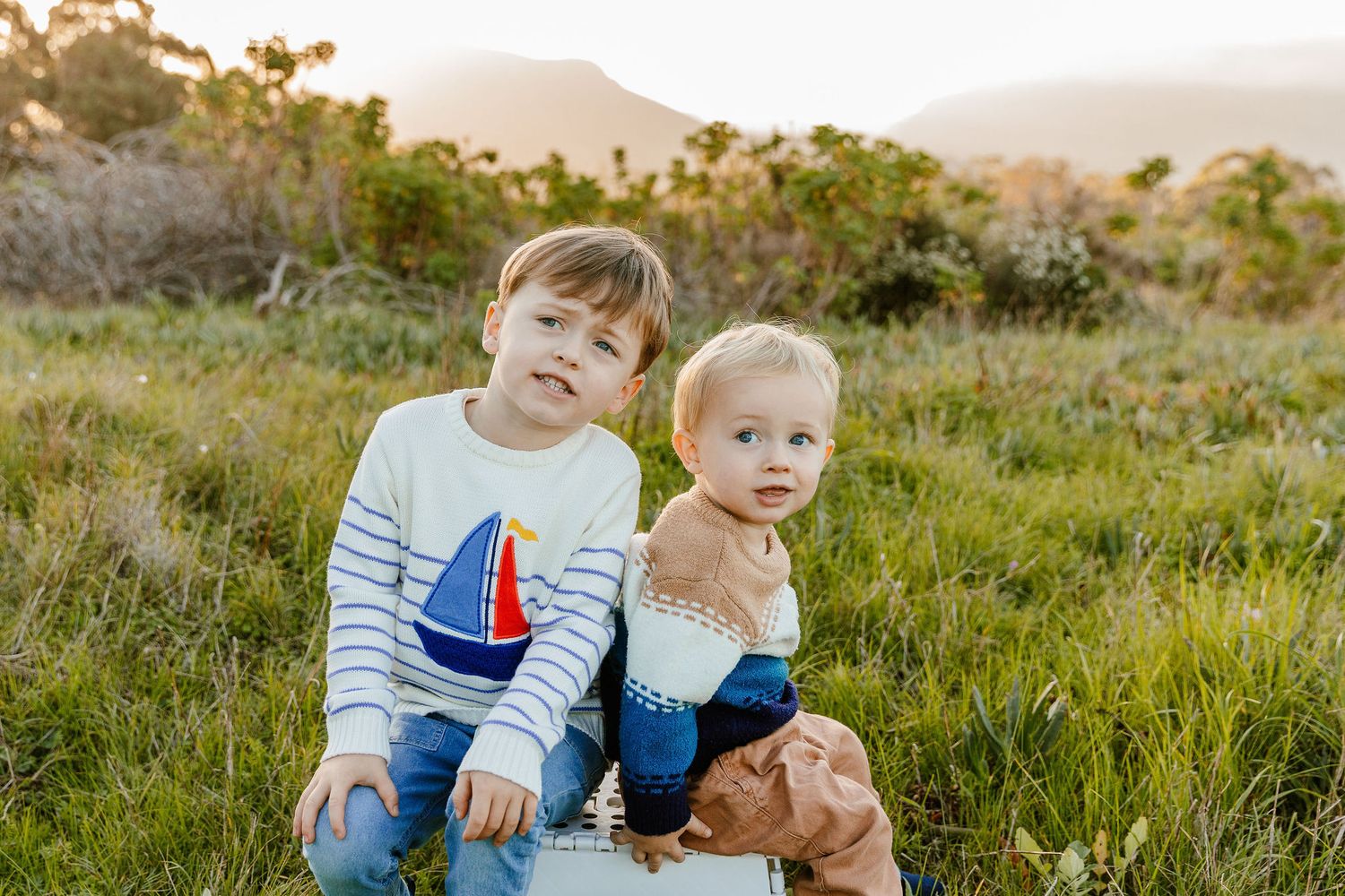 Two young brothers sitting together in a sunny green meadow with mountains behind.