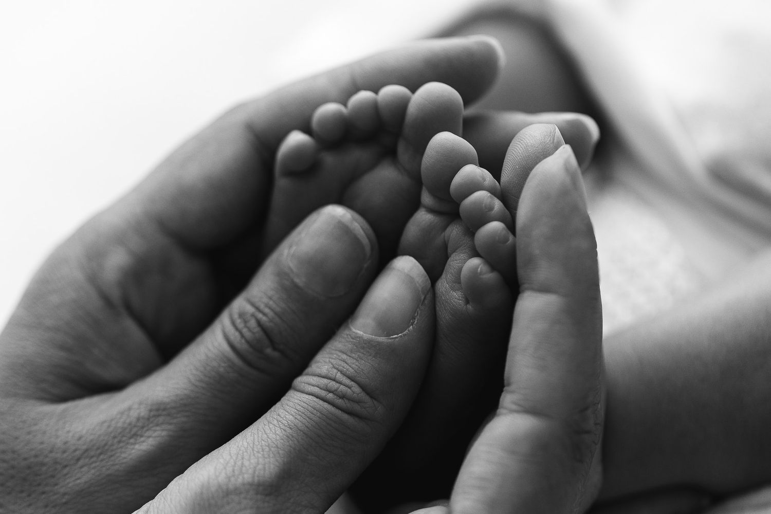 Black and white photo of a parent's hands gently cradling tiny newborn baby feet.