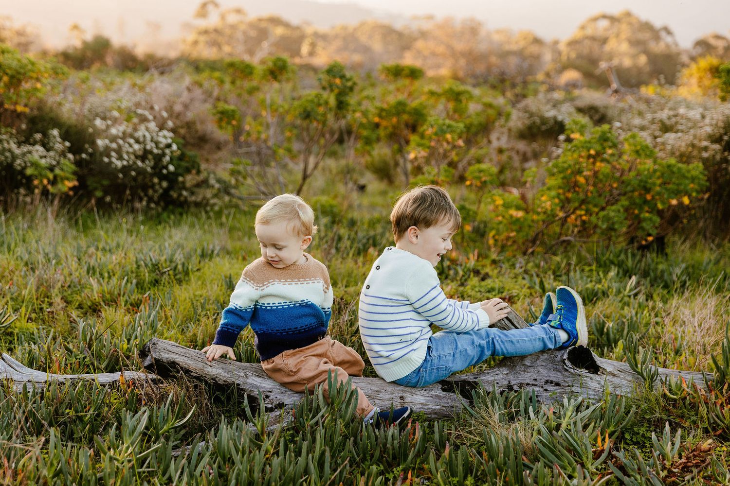 Two young children sit back-to-back on a log in a vibrant green meadow at golden hour.