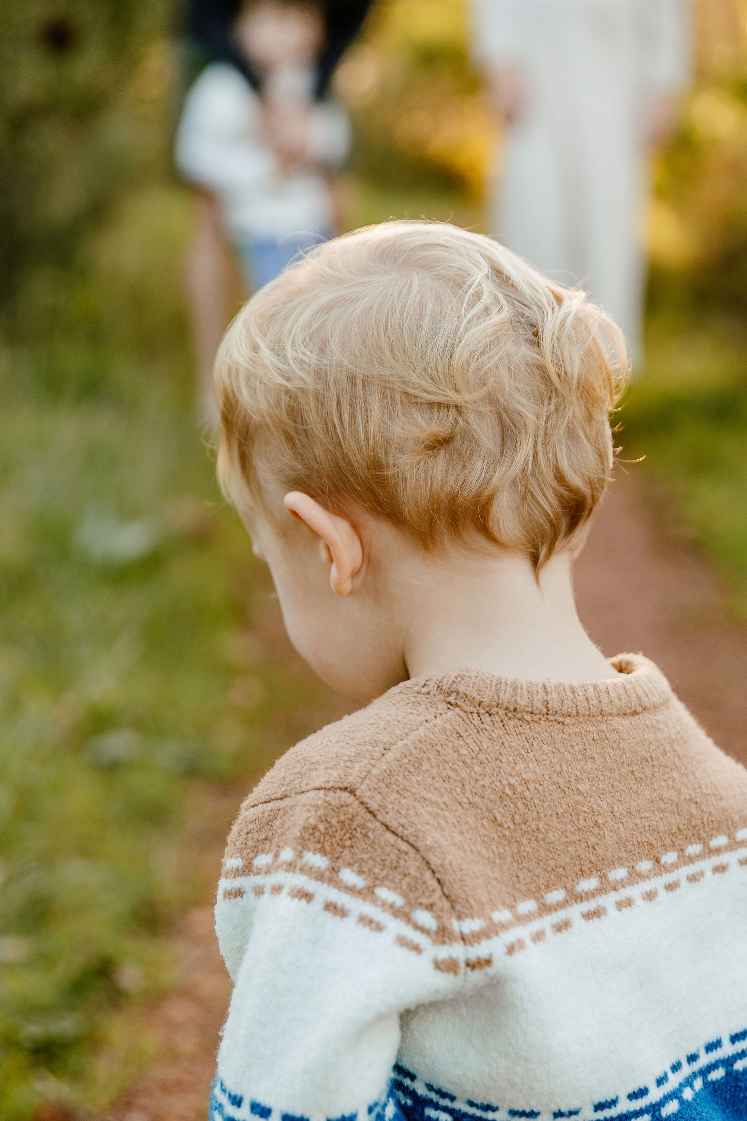 Rear view of young blonde child in patterned sweater on a nature path with family blurred in background.