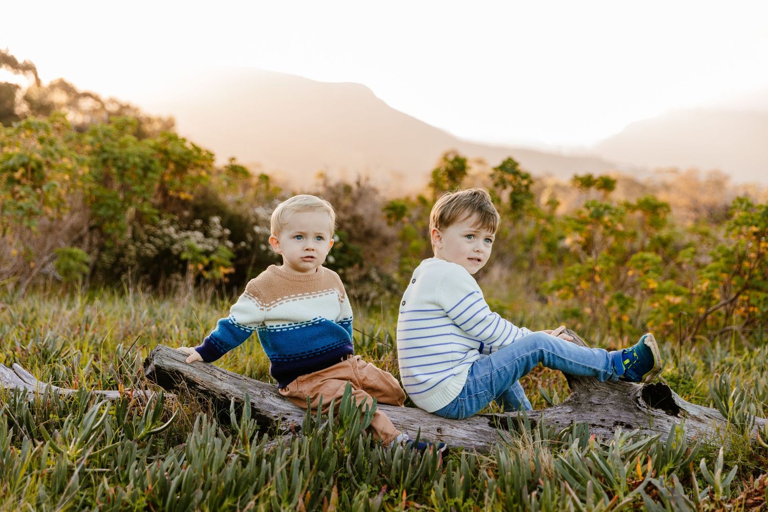 Two young children in sweaters sit back-to-back on a log in a grassy field with mountains at golden hour.
