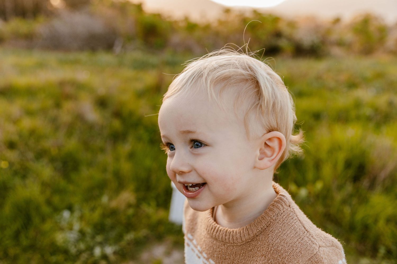 Happy blonde toddler boy in knit sweater laughing in sunlit green meadow.