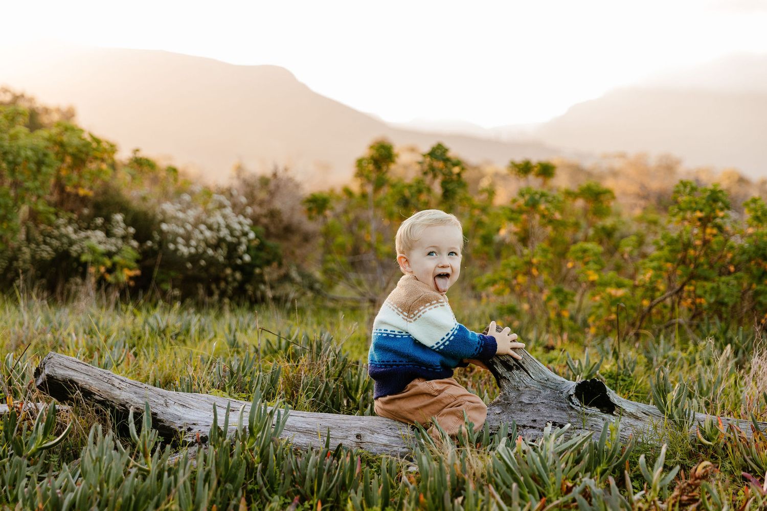 Cheerful baby boy sits on a log in a sunlit grassy field with mountains in the background.