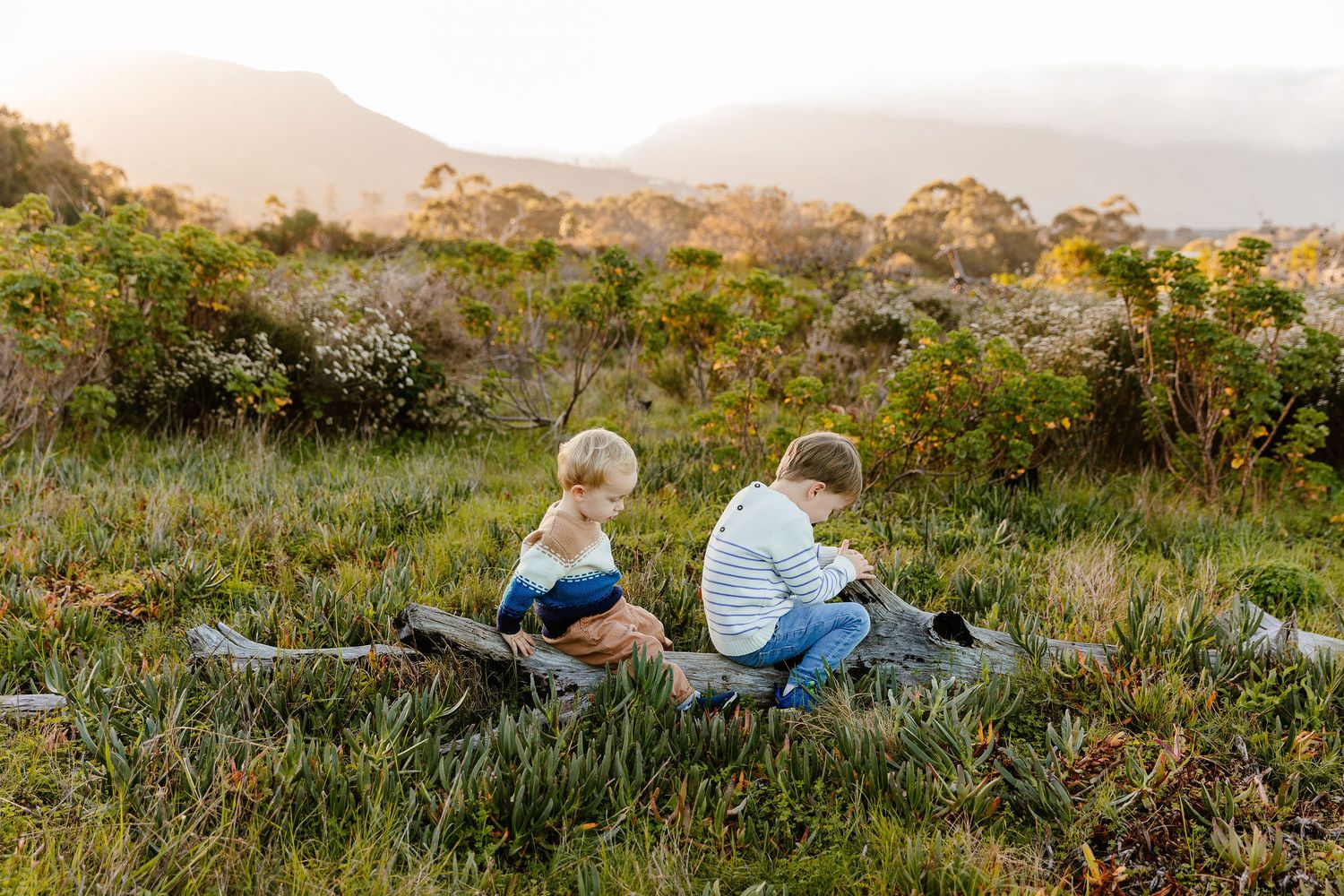 Two young children sit together on a blanket in a scenic grassy field with mountain views.