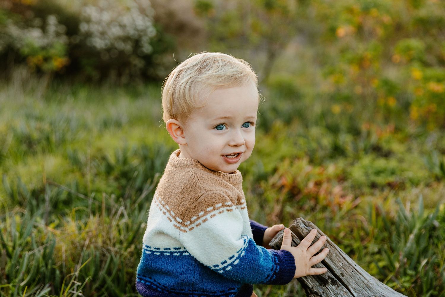 Blonde toddler boy in a colorful sweater leaning on a wooden fence in a lush green field.