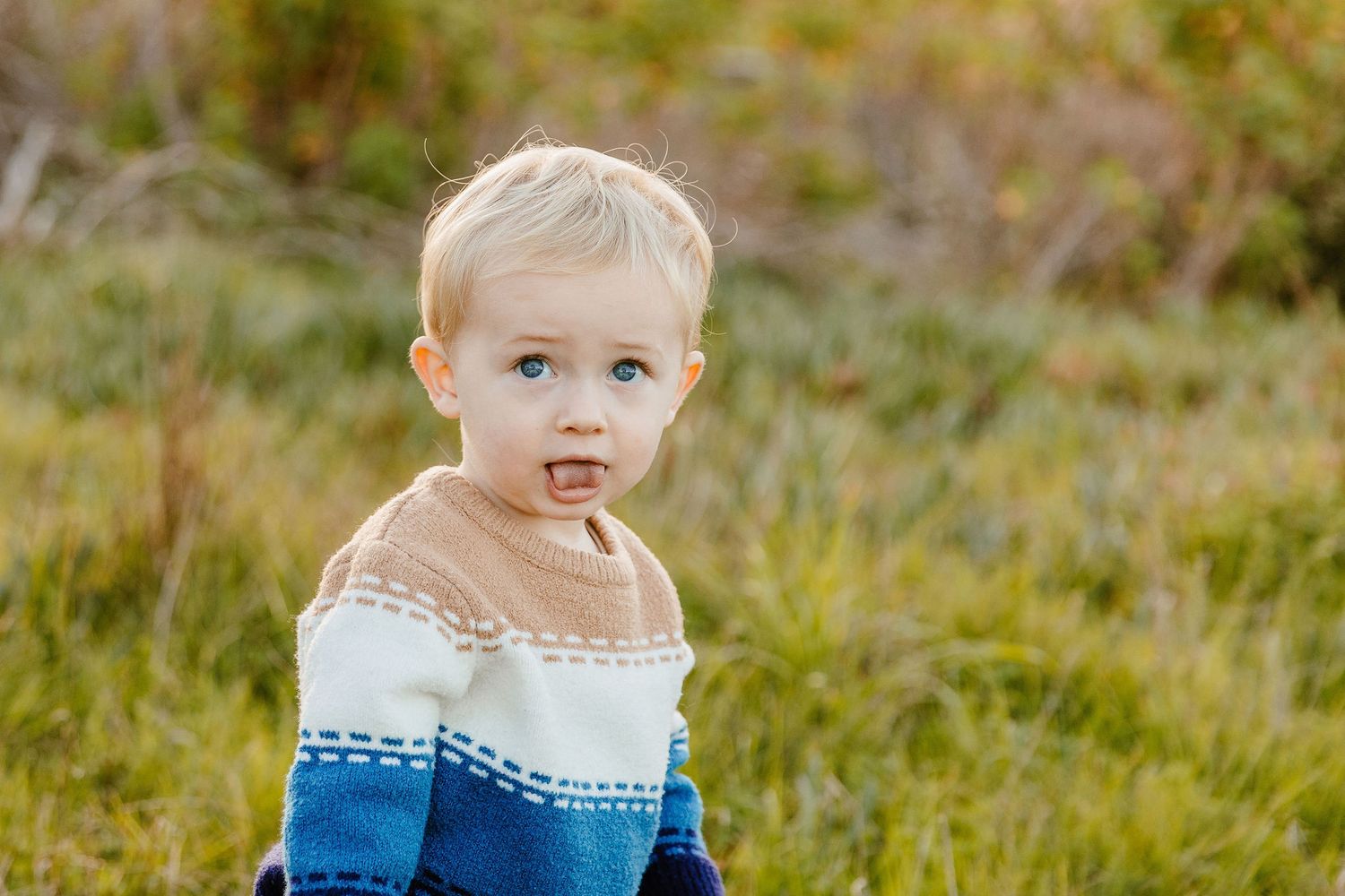 Cute blonde toddler boy in a tan and blue knit sweater sitting in a grassy field at golden hour.