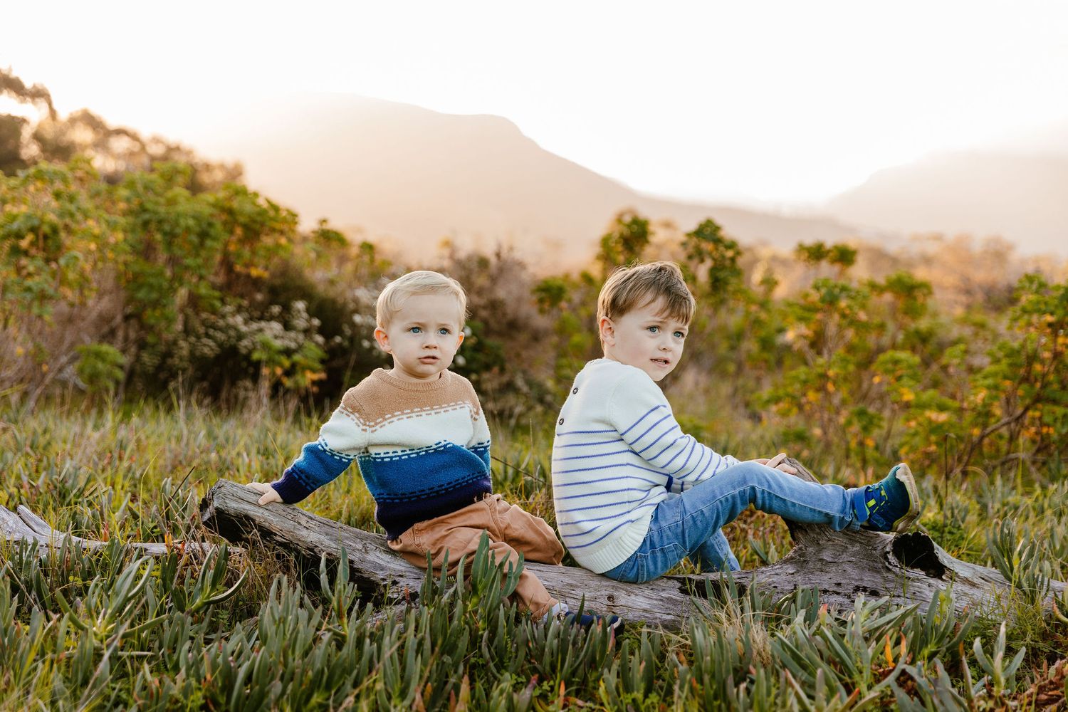 Two young boys sit back-to-back on a log in a golden sunlit meadow with mountains behind.