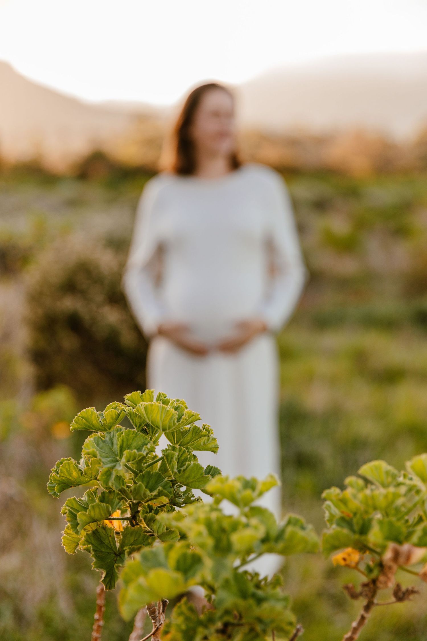 Pregnant woman in white dress standing in a sunlit field, with green plants in sharp focus in the foreground.