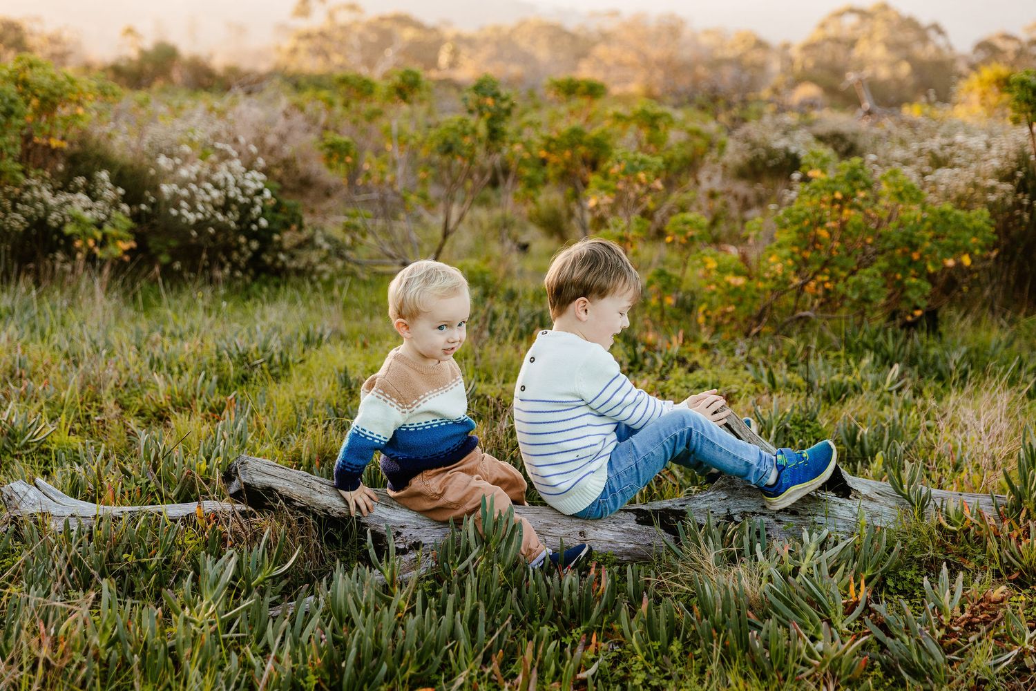 Two young boys sit back-to-back on a log in a lush green meadow at golden hour.