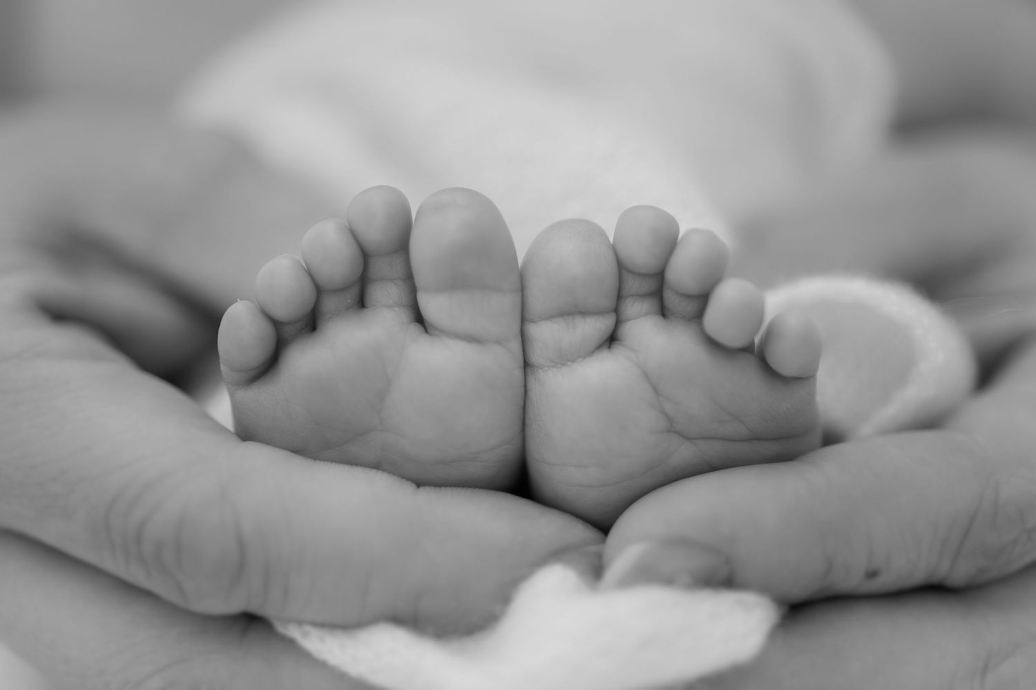 Black and white close up newborn feet held in hands, Sydney newborn photographer