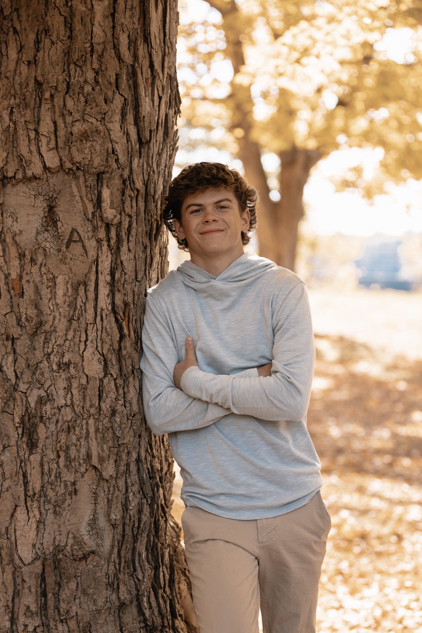 Teen leaning against tree trunk in golden sunlight wearing casual gray hoodie.