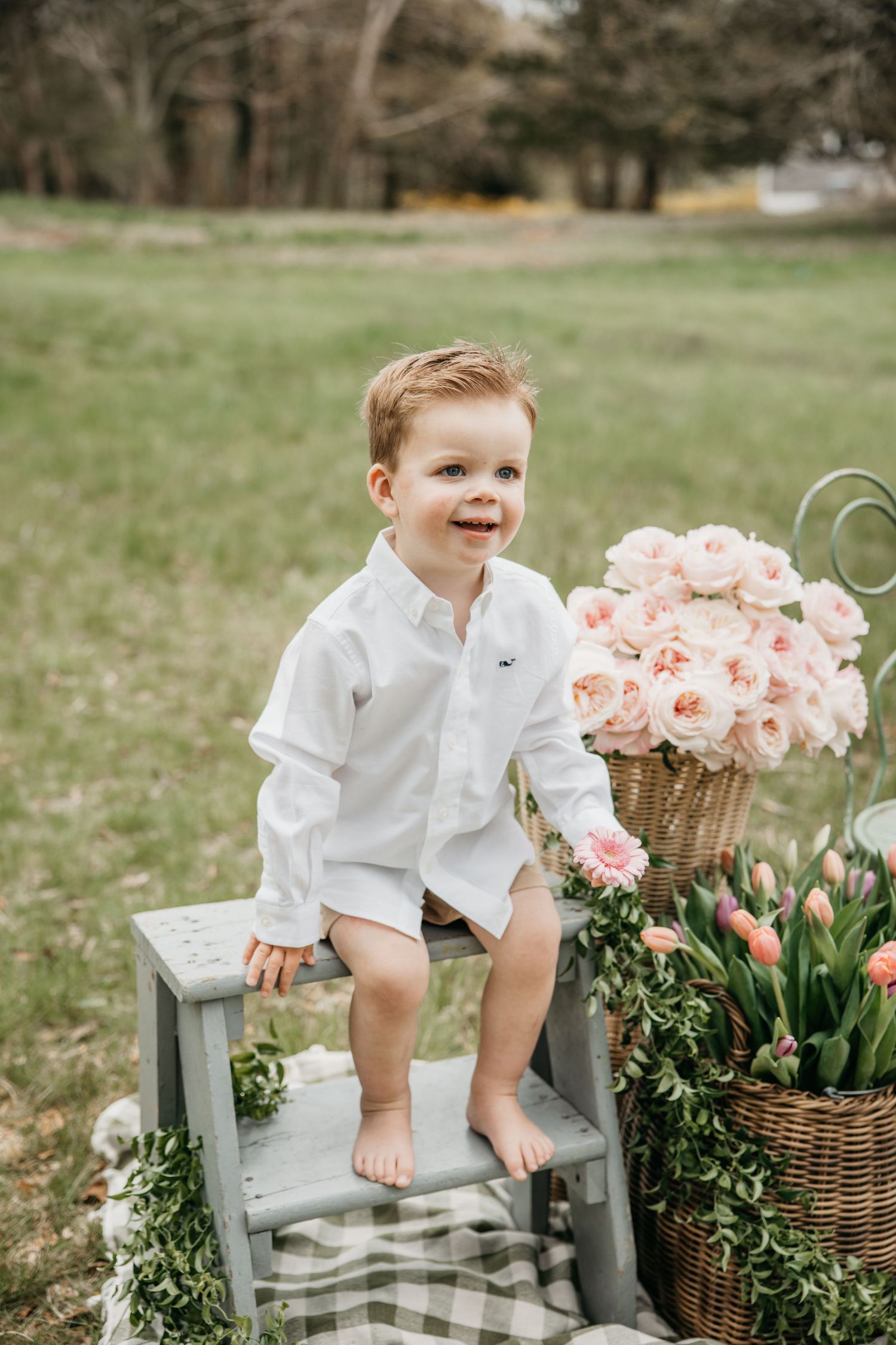 Smiling toddler boy in white shirt sitting on gray step stool outdoors with pink roses and tulips.