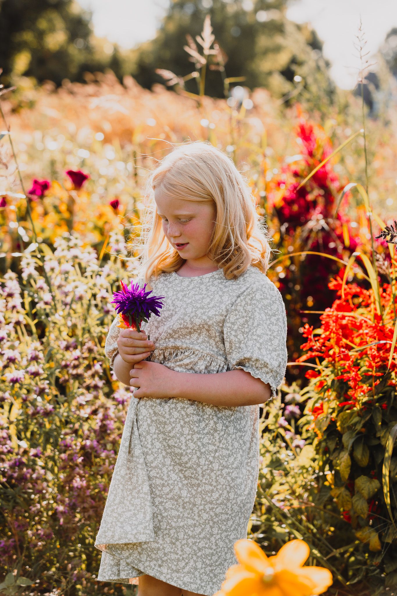 Young child in a floral dress explores a vibrant garden filled with colorful blooms.