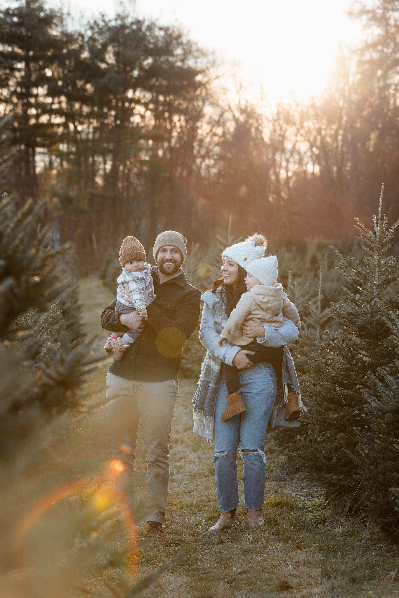 A cozy family moment at a Christmas tree farm during golden hour sunset among evergreen trees.