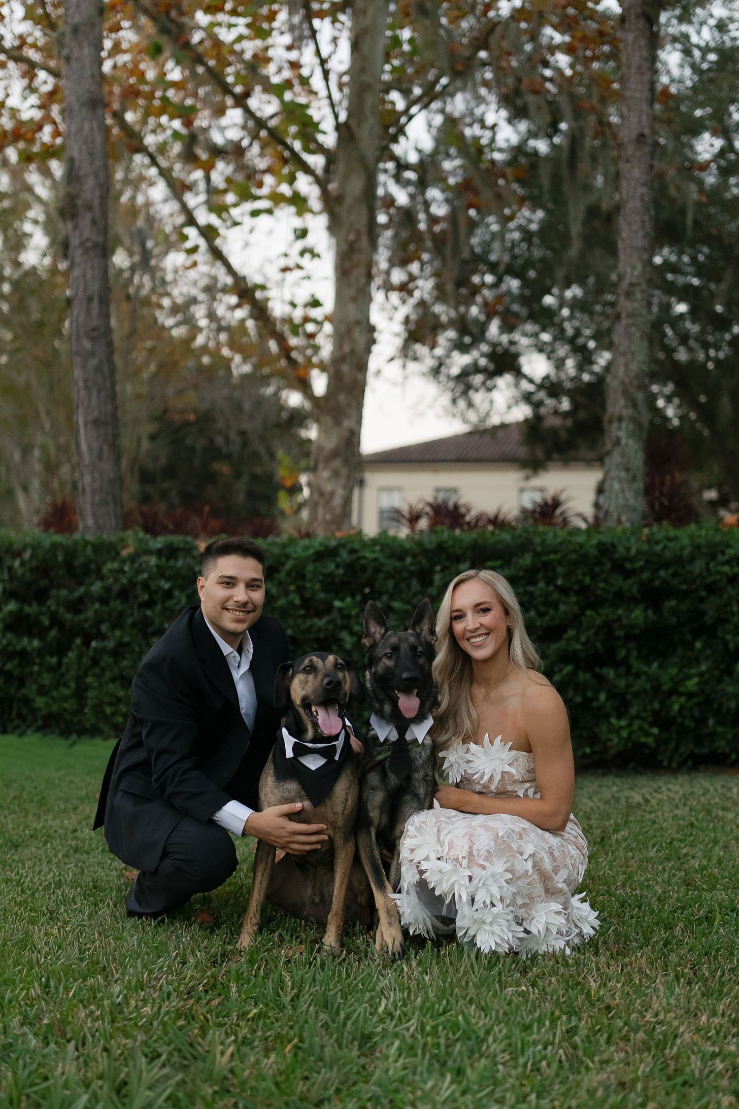 Couple in formal attire sits on grass with their dog during an outdoor engagement photoshoot.