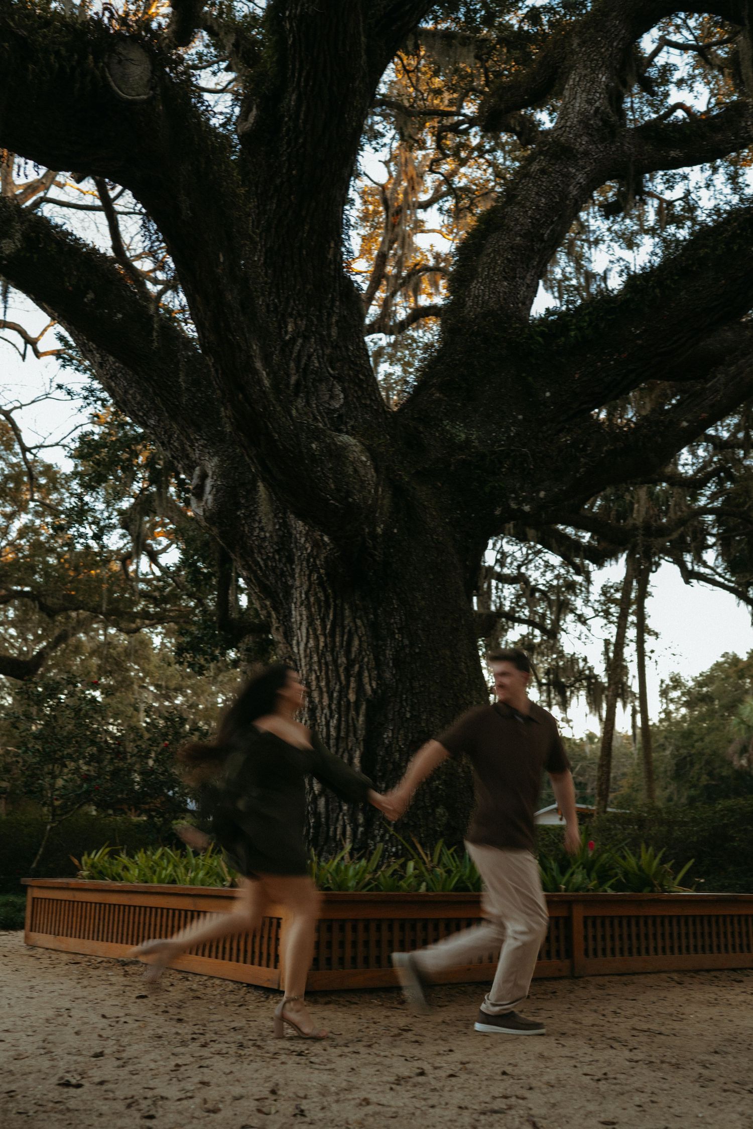 A couple dances together under a majestic old oak tree at sunset in a garden setting.