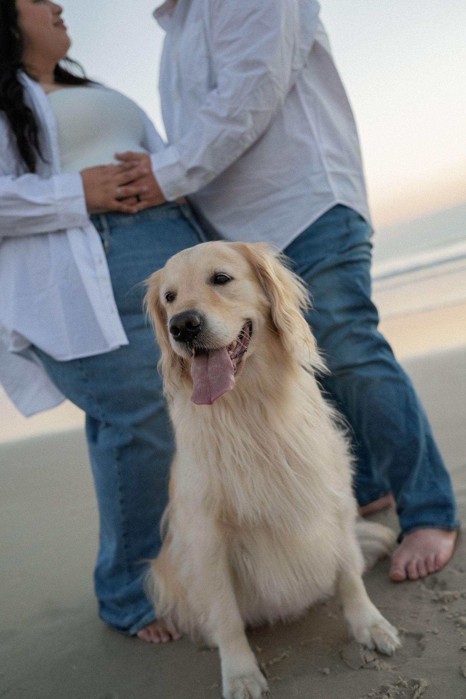 Golden retriever sitting on beach sand in front of couple wearing white shirts and jeans at sunset.