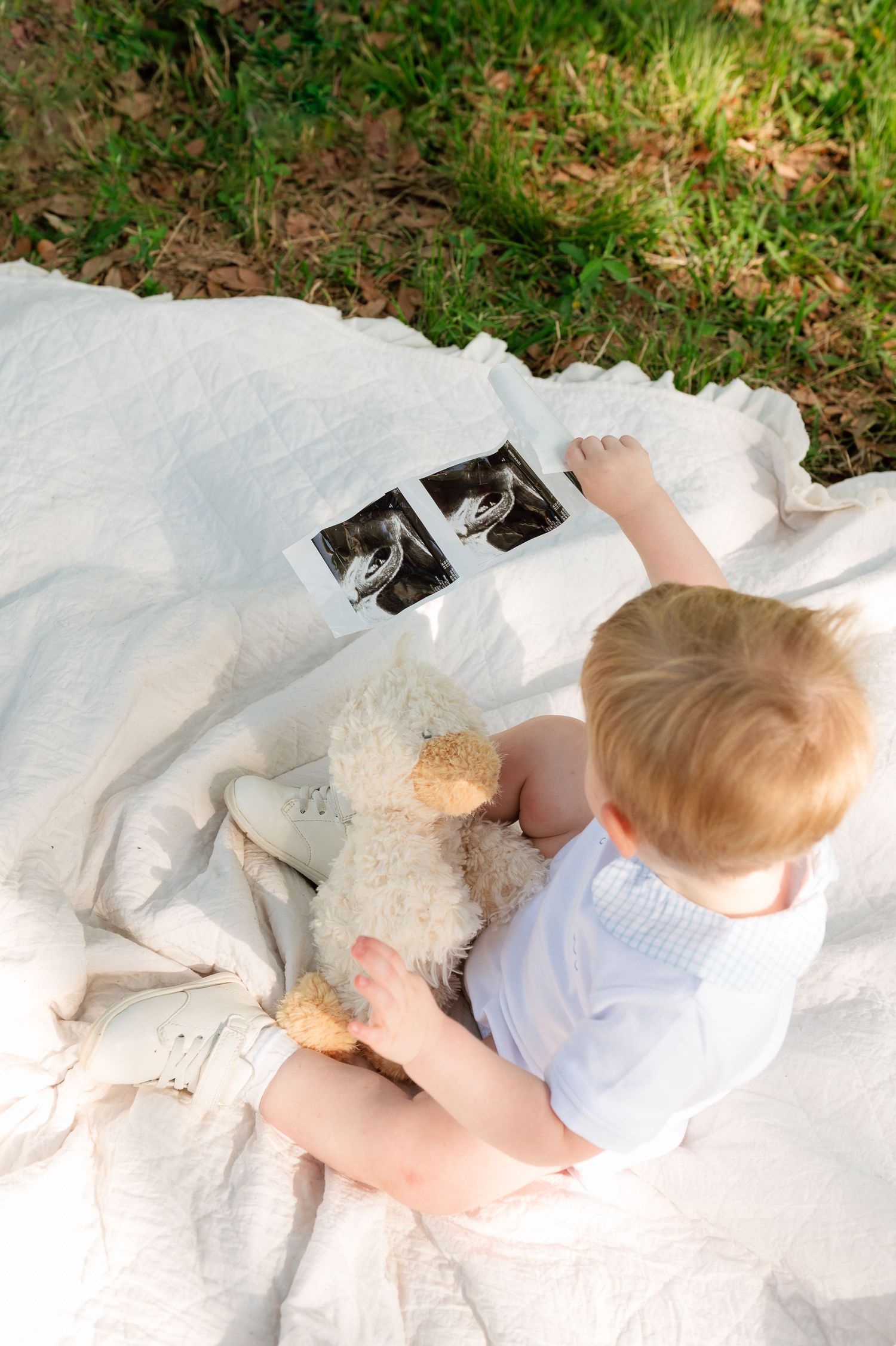 Toddler sitting on white blanket outdoors holding teddy bear beside ultrasound photos on grass background.