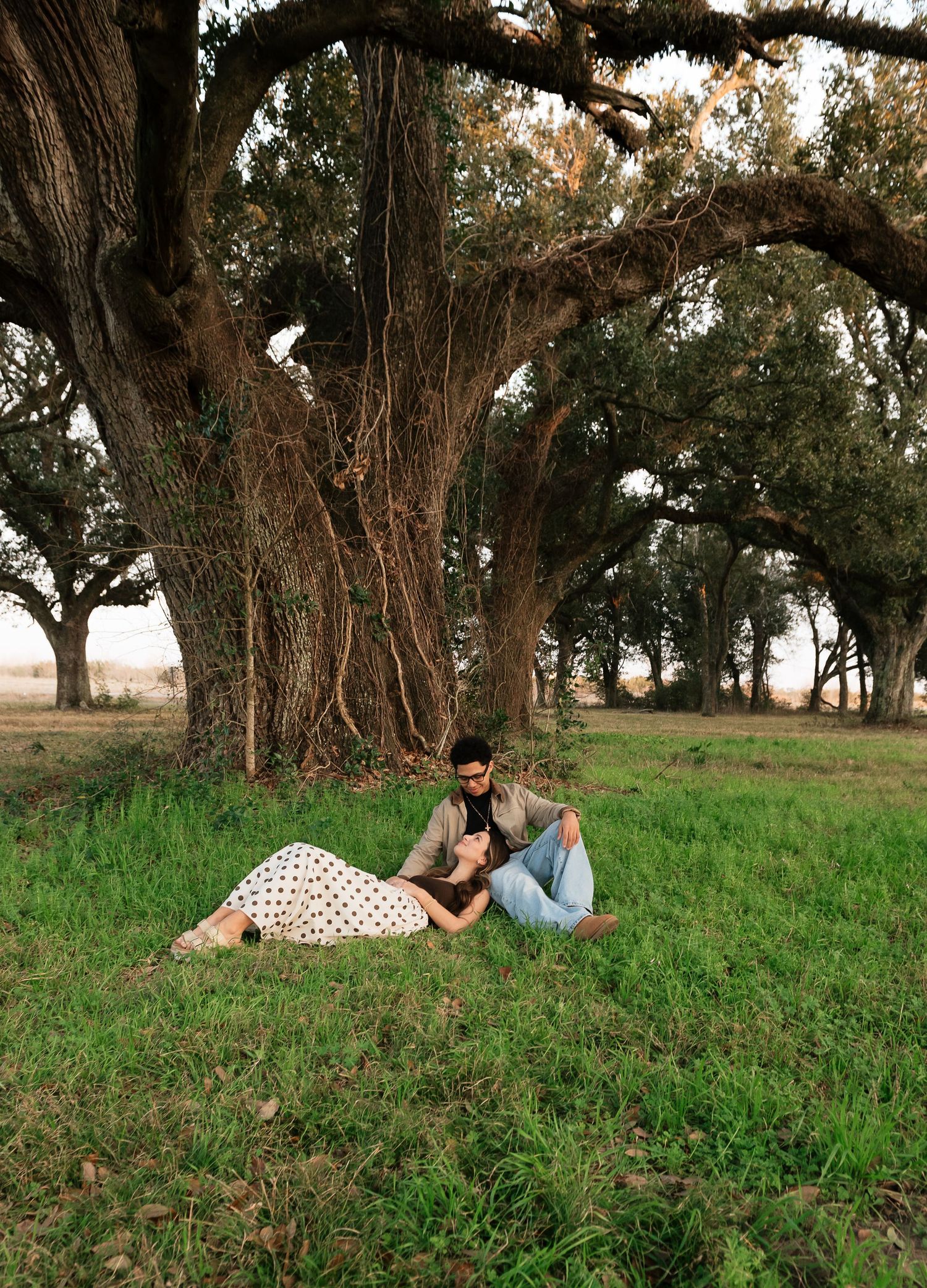 Couple sitting together on green grass beneath large oak trees in a serene outdoor setting.