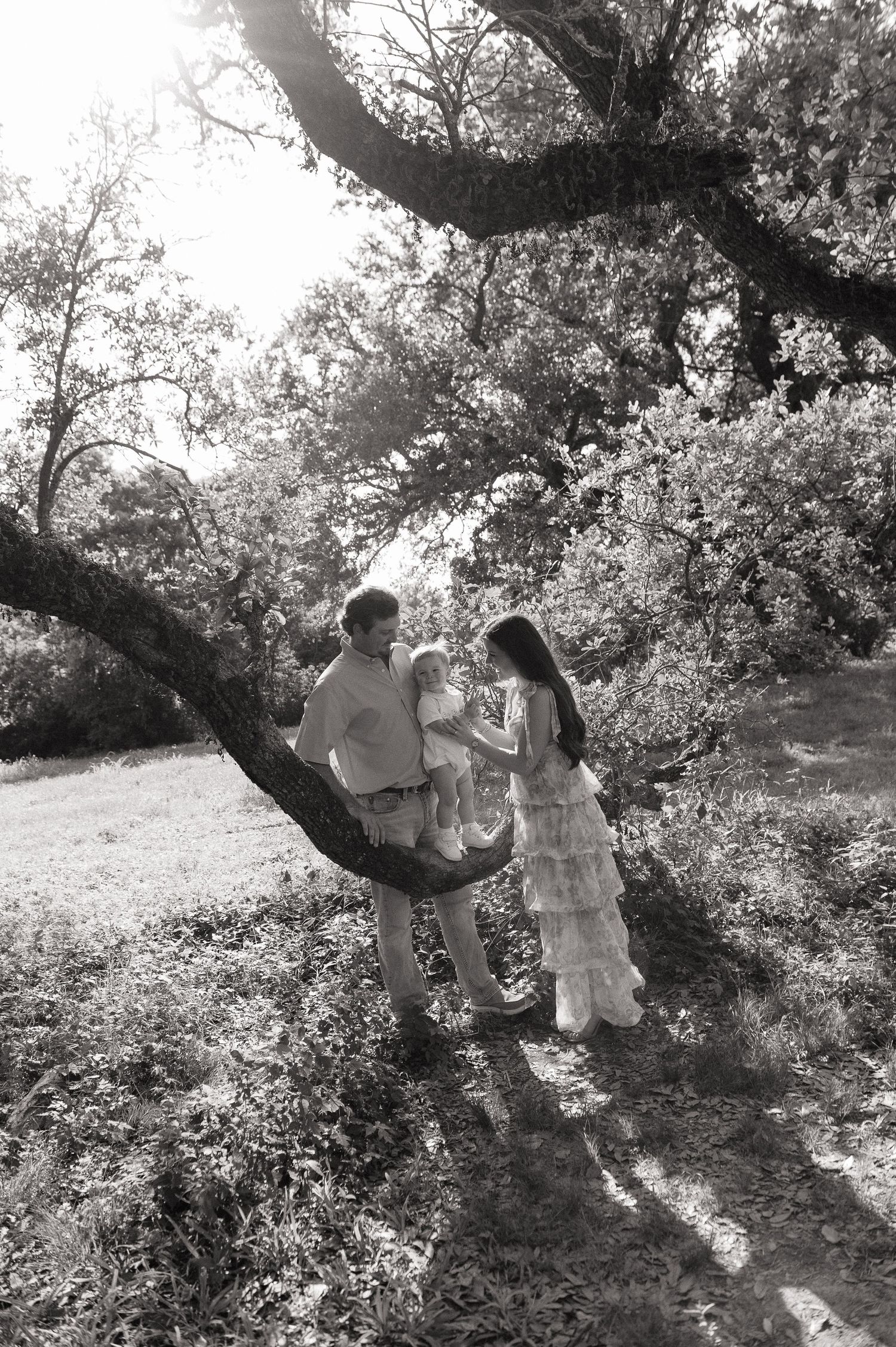 Black and white family photo under large oak tree, parents lovingly holding toddler in sunlit outdoor setting.