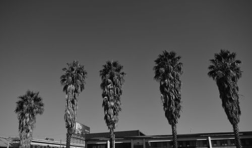 On location photoshoot in Johannesburg, Newtown